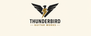 Thunderbird Guitar Works - Home